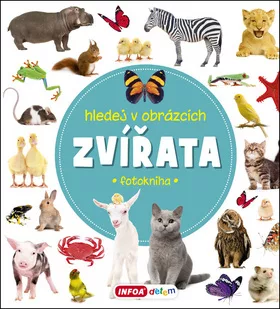 Zvířata