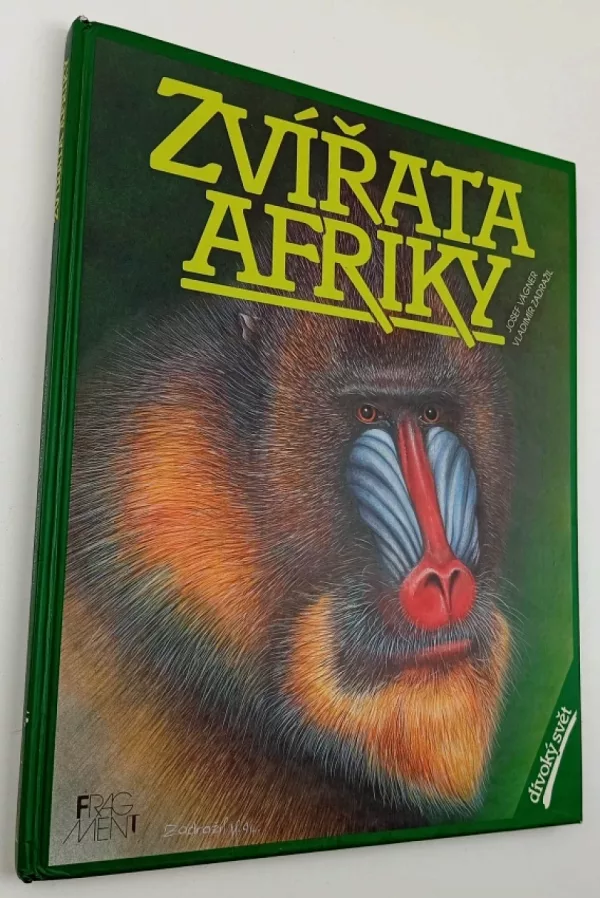 Zvířata Afriky