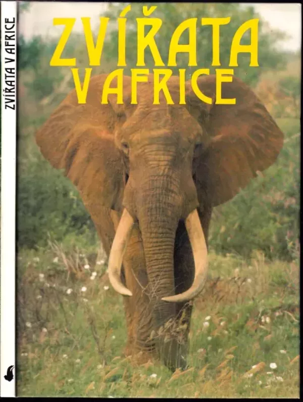 Zvířata v Africe