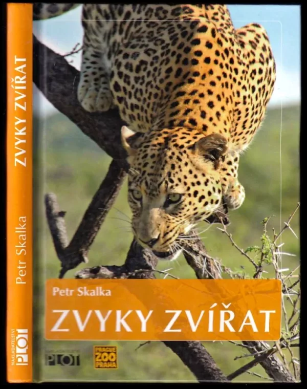 Zvyky zvířat