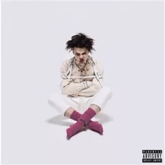 21st Century Liability (5 Year Anniversary Edition Limited)