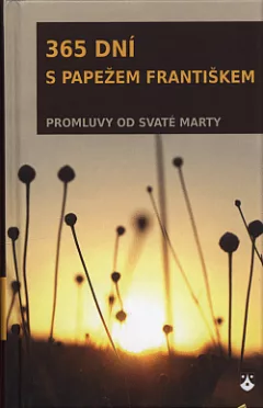 365 dní s papežem Františkem: promluvy od Svaté Marty (kostelní vydání)