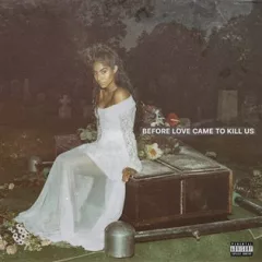 Before Love Came To Kills