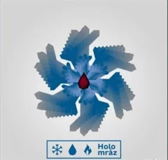 Holomráz