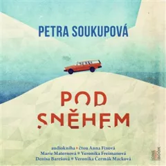 Pod sněhem