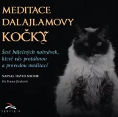 Meditace dalajlamovy kočky