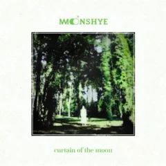 Curtain Of The Moon