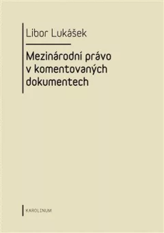 Visegrádská skupina a její vývoj v letech 1991-2004