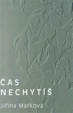 Čas nechytíš