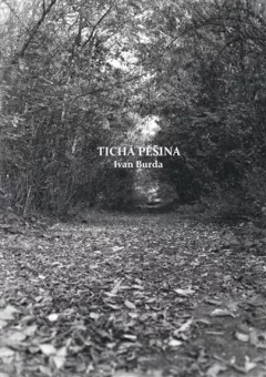 Tichá pěšina