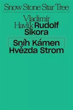 Sníh, kámen, hvězda, strom