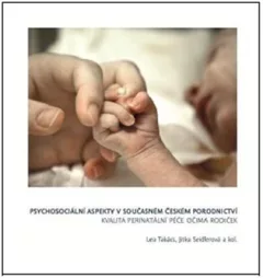 Psychosociální
 aspekty v současném
 českém porodnictví