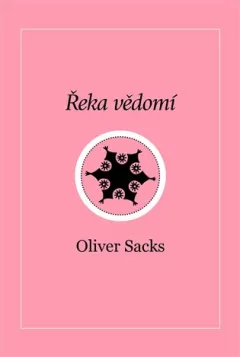 Řeka vědomí