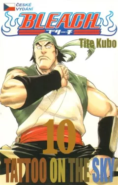 Bleach 10: Tattoo on the Sky