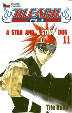 Bleach 11: A Star and a Stray Dog