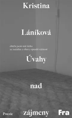 Úvahy nad zájmeny