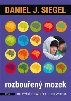 Rozbouřený mozek
