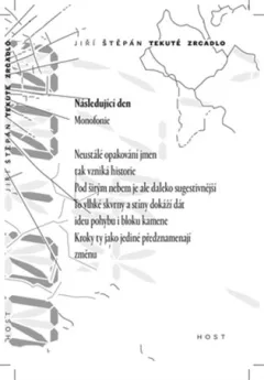 Tekuté zrcadlo