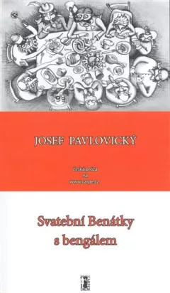 Svatební Benátky s bengálem