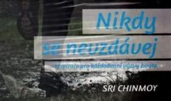 Nikdy se nevzdávej - Inspirace pro každodenní výzvy života