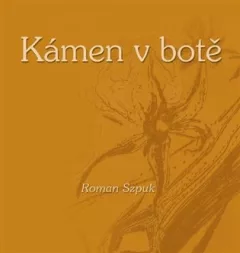 Kámen v botě