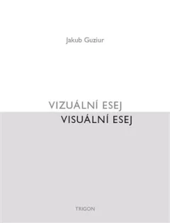 Vizuální esej / Visuální esej