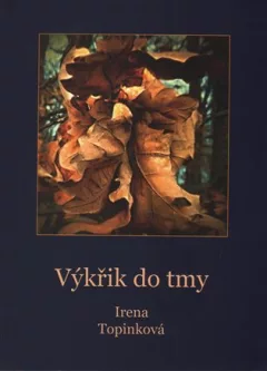 Výkřik do tmy