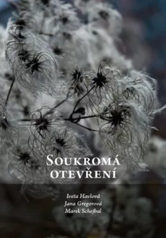 Soukromá otevření