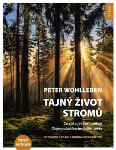 Tajný život stromů - Co cítí a jak komunikují