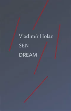 Sen / Dream