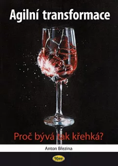 Agilní transformace - proč bývá tak křehká?