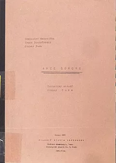 Akce Bororo