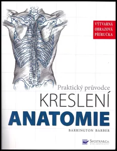 Anatomie