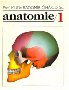 Anatomie 1