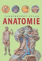 Anatomie - Ilustrovaný atlas
