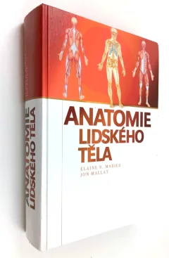 Anatomie lidského těla