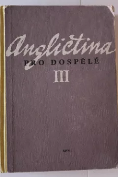 Angličtina pro dospělé III