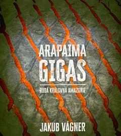 Arapaima gigas- Rudá královna Amazonie
