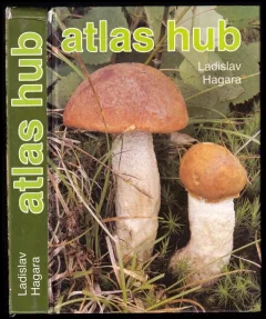 Atlas hub
