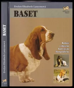 Baset