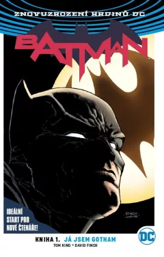 Batman 01: Já jsem Gotham V8