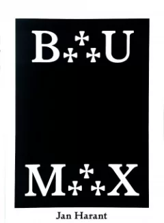 Bau Max