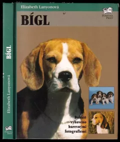Bígl