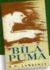 Bílá puma
