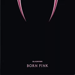 Born Pink (Trans.Black Ice Vinyl)