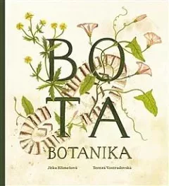 Bota botanika