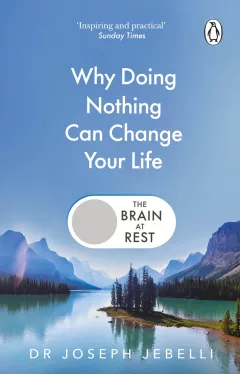 Brain at Rest
