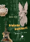 Brněnské maličkosti