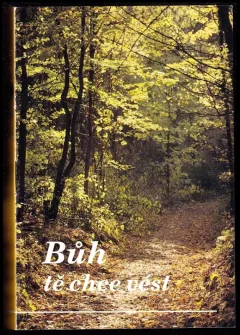 Bůh tě chce vést