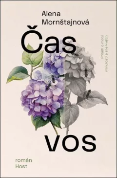 Čas vos